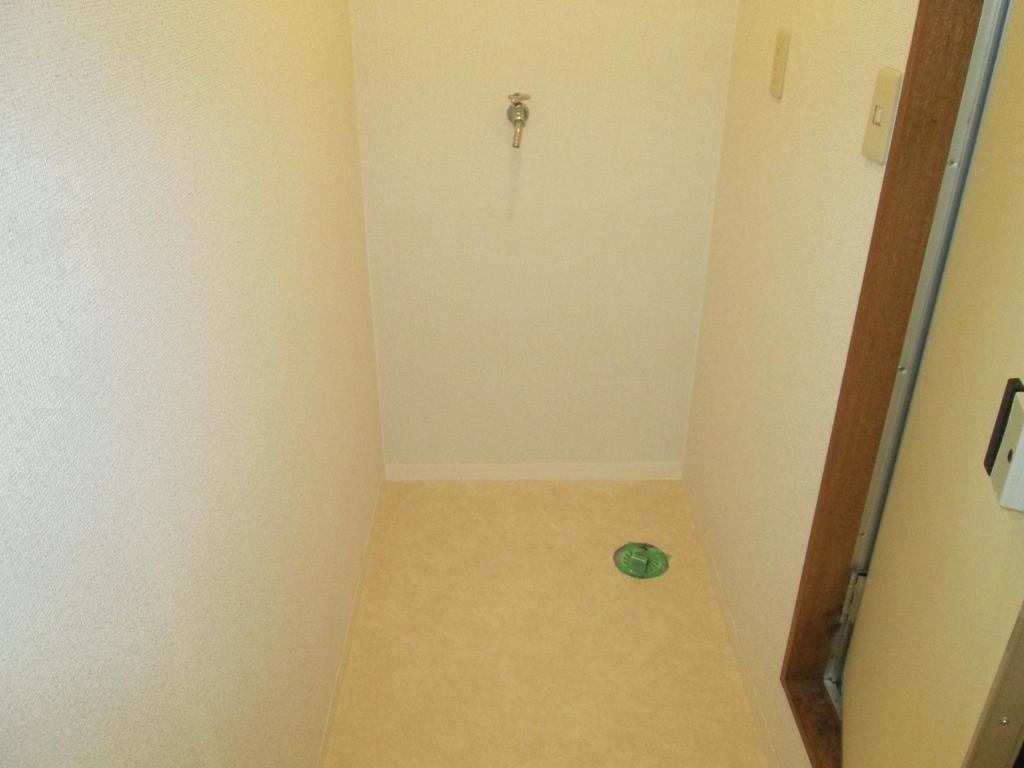 Other room space. Dressing room and washing machine Storage