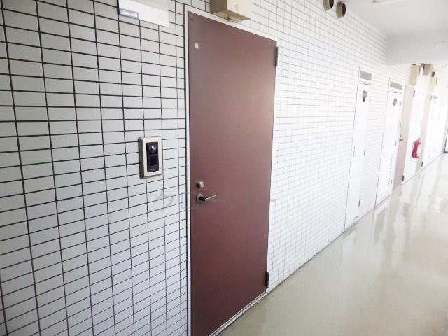 Other common areas. Entrance door