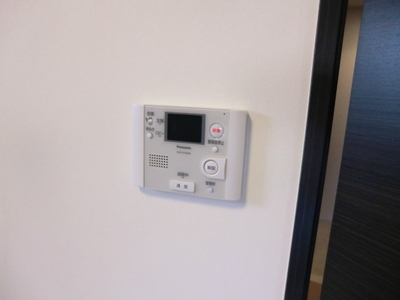 Security. TV monitor phone