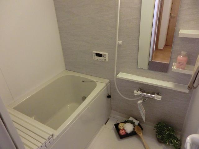 Bathroom. Indoor (12 May 2013) Shooting