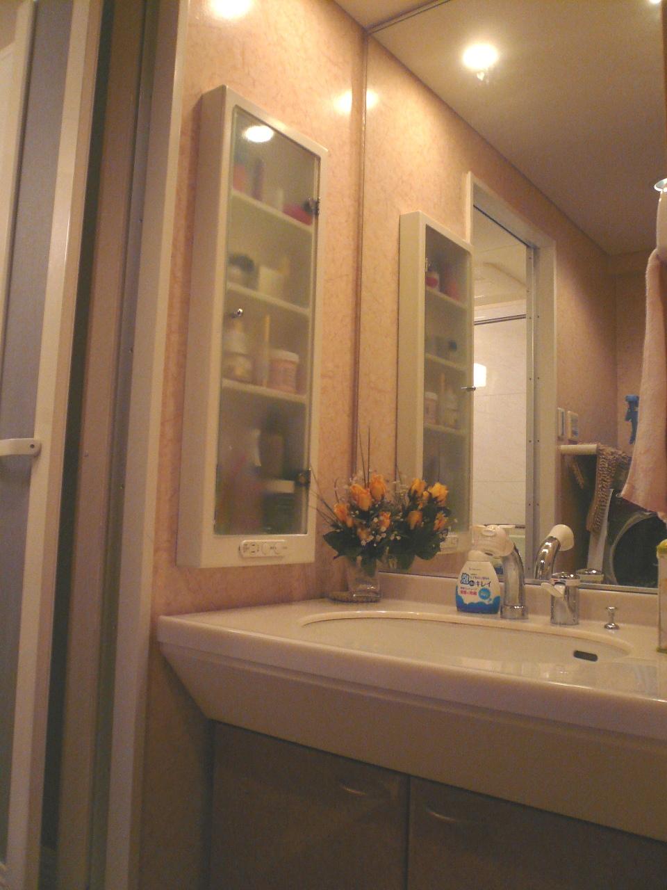 Wash basin, toilet. Indoor (12 May 2013) Shooting