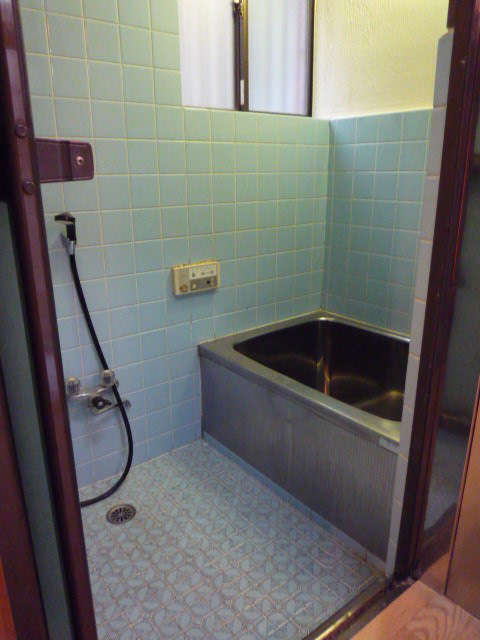 Bath. Nostalgic stainless steel tub.