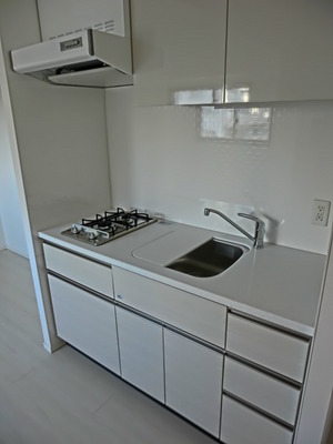 Kitchen. Easy-to-use two-necked Gasukitchin