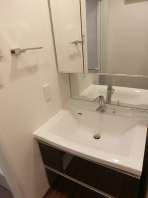 Washroom. Large is a wash basin happy to women