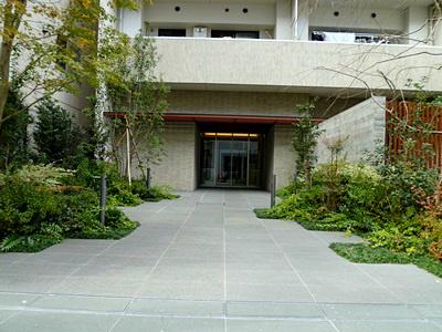 Entrance. Weeping cherry symbol tree is accompanied by a color to the house. A taste is the entrance.