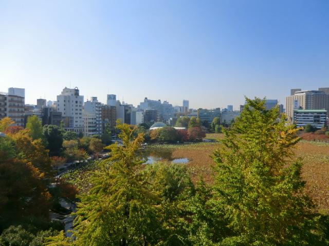 View photos from the dwelling unit. View from the site (November 2013) Shooting