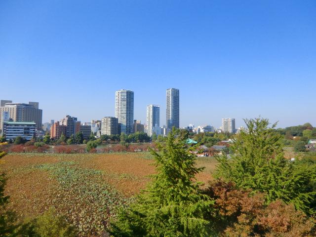 View photos from the dwelling unit. View from the site (November 2013) Shooting