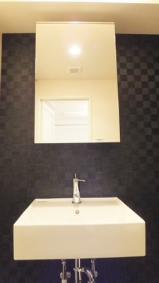 Washroom. Stylish independent wash basin