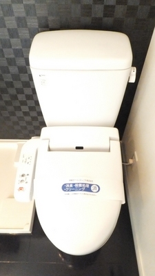 Toilet. Washlet equipped