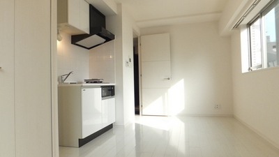 Living and room. Spacious 8.4 Pledge Western-style