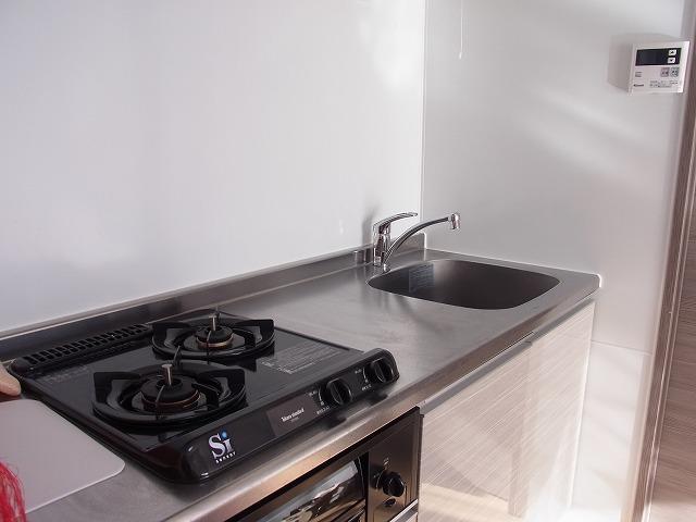 Kitchen. 2 lot gas stoves of the system kitchen