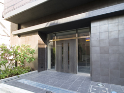 Entrance. Luxury Entrance