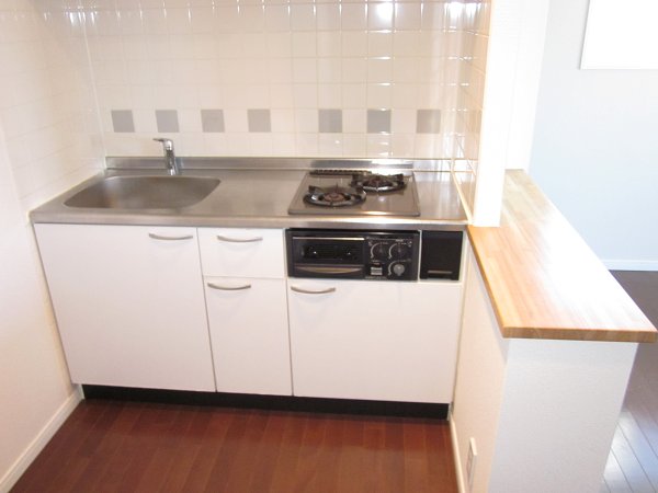 Kitchen. With gas two-burner grill