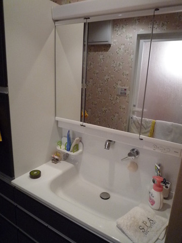 Washroom. Bathroom vanity