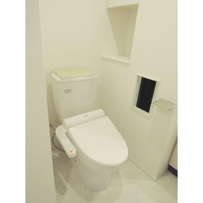 Other. Toilet with cleanliness.