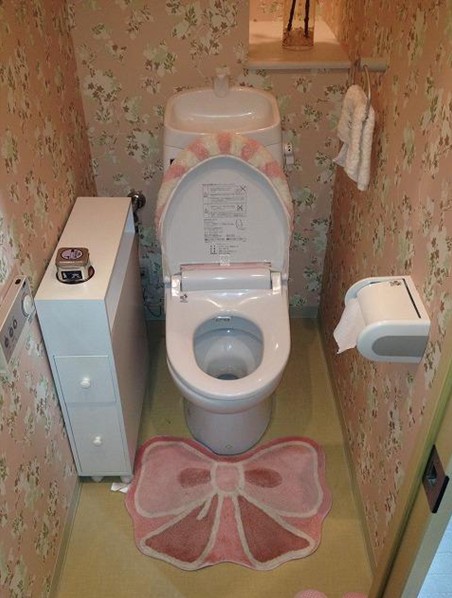 Toilet. Furniture is not attached (conditions change have in the case of furnished)