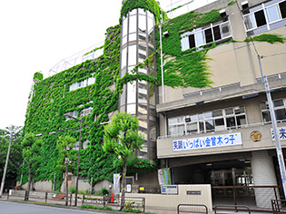 Surrounding environment. Gold stripped elementary school (a 5-minute walk / About 350m)