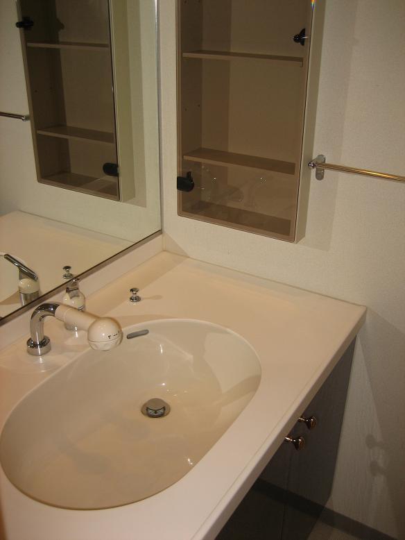 Wash basin, toilet. Wash ・  ・  ・ Shower
