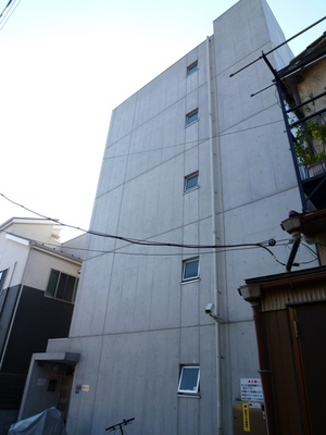 Building appearance. Designer's Mansion