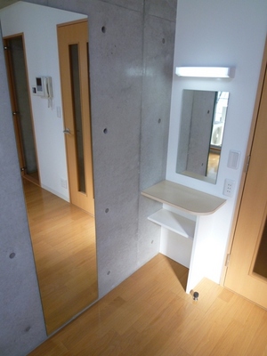 Other. Appearance mirror and dresser