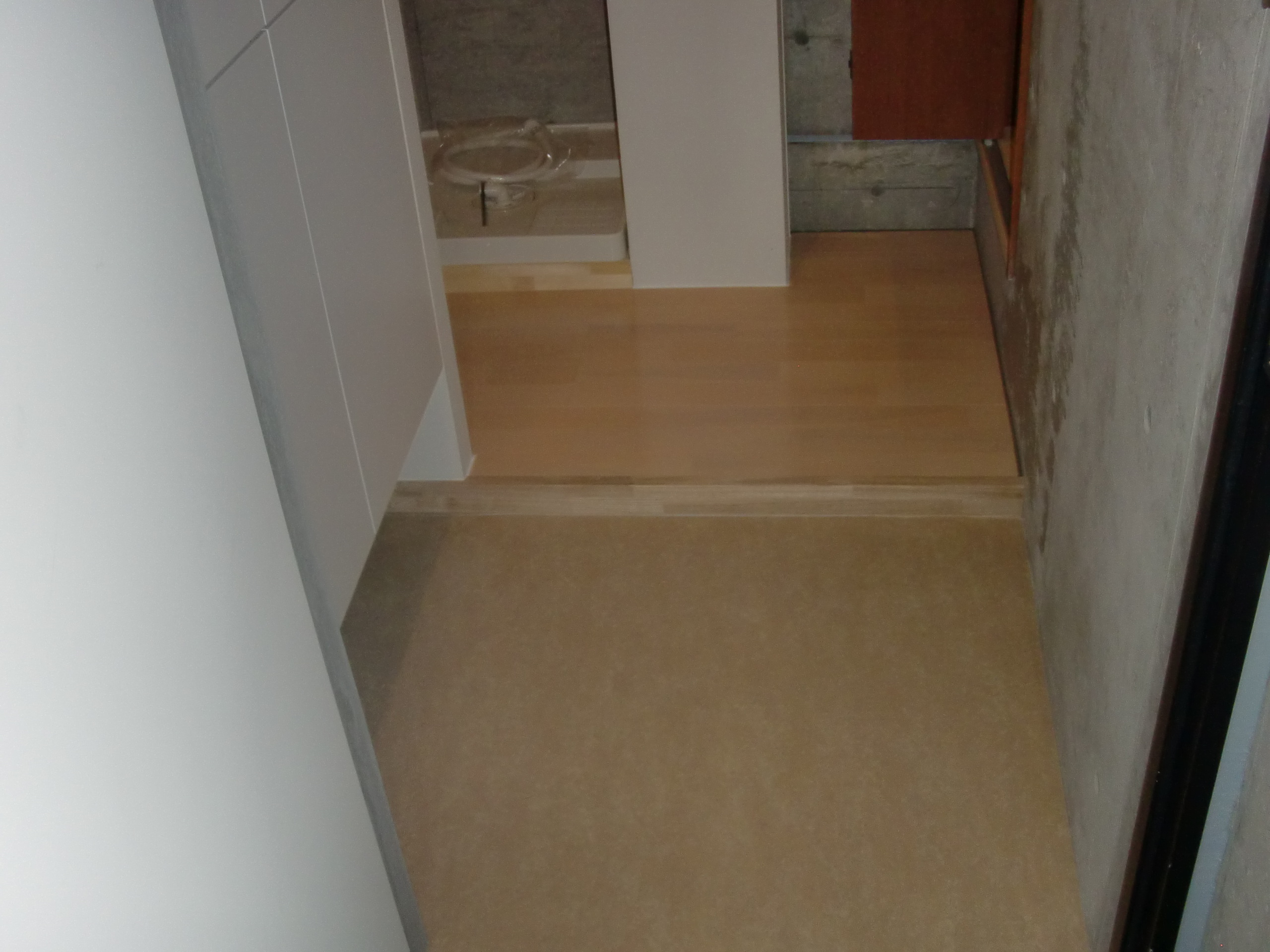 Entrance. Big shoes closet