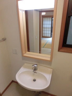 Washroom. Convenient independent wash basin in the morning of the dressing