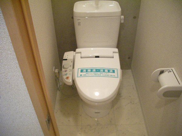 Toilet. Warm water washing toilet seat