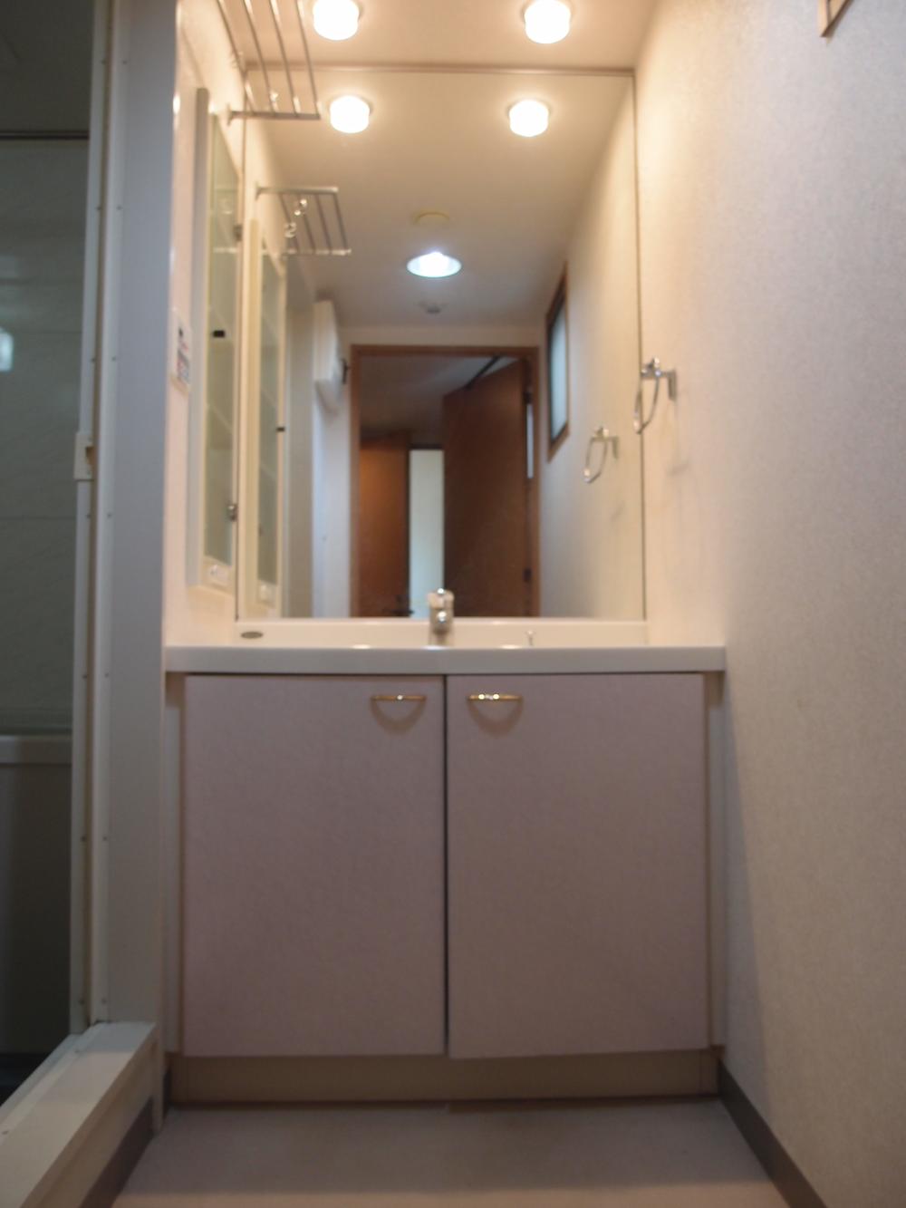 Wash basin, toilet. Bathroom vanity