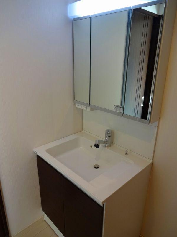 Wash basin, toilet. Bathroom vanity