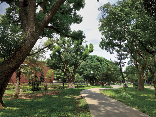 Surrounding environment. Numerous museums place a universal culture and intellect ・ Museum. Lush greenery and sunshine filtering through foliage glittering Ueno Park. Oasis of the city center that culture and art also be aligned cafes, It fits into a new life of action range. (Ueno Park / 3-minute walk ・ About 170m)