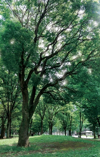 Ueno Park (about 170m / A 3-minute walk)