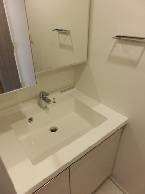 Washroom. I'm glad large washbasin