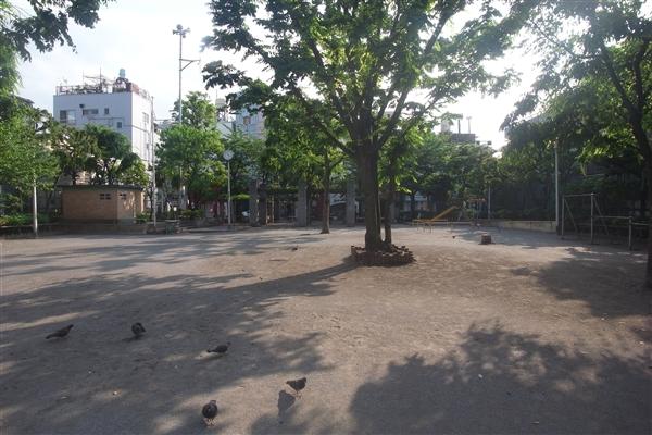 park. 82m to Senzoku park