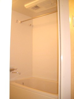 Bath. Add-fired, Bathroom Dryer