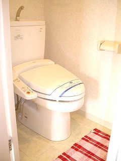 Toilet. Warm water washing toilet seat