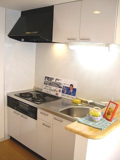 Kitchen. Gas two-burner system Kitchen