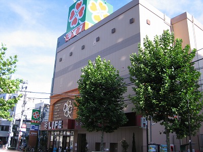 Supermarket. 500m to life (Super)