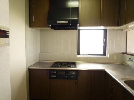 Kitchen. Face-to-face kitchen