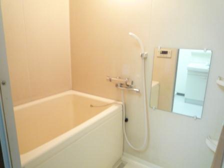 Bath. Reheating function with bus