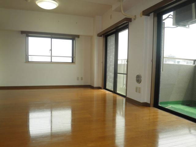 Living and room. Spacious living.