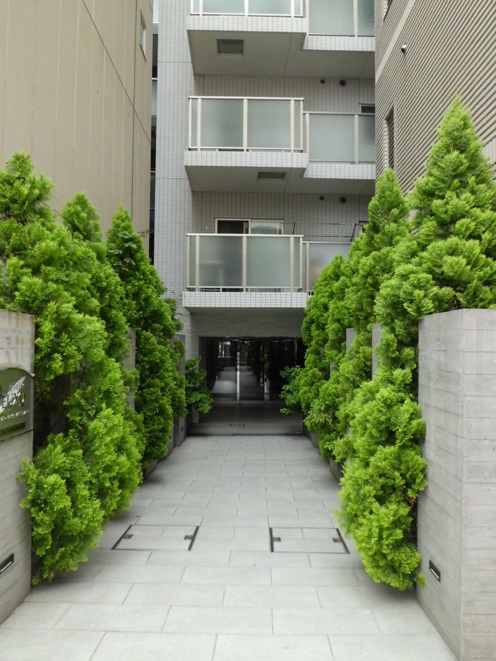 Entrance. Common areas