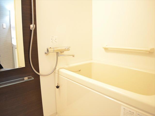 Bathroom. A handrail bathroom