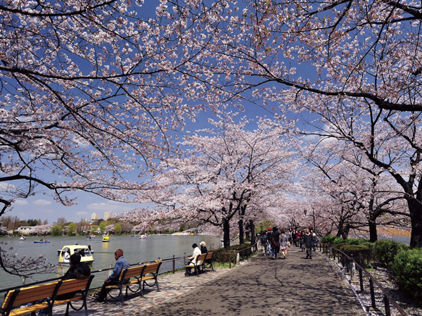 Surrounding environment. Shinobazunoike (in Ueno Park) (about 1860m ・ Walk 24 minutes ・ Bicycle about 10 minutes)