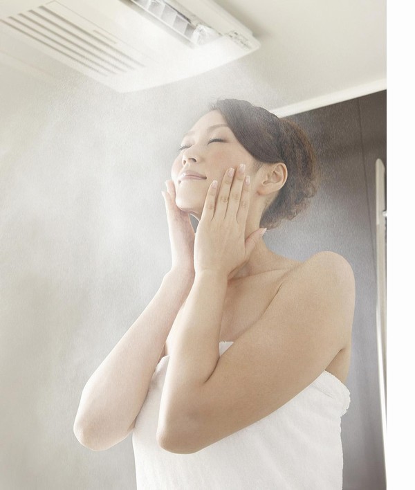 Mist sauna (same specifications)