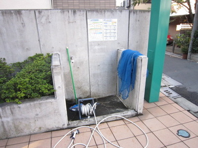 Other. There is shelter in the garbage site