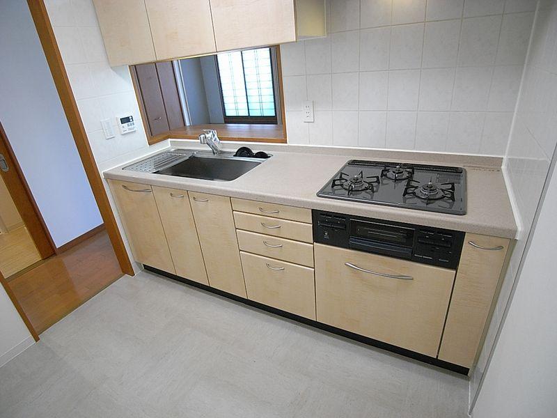 Kitchen. Popular system Kitchen
