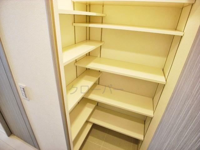 Entrance. Shoes closet