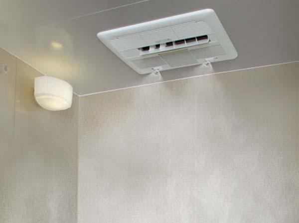 Other. Bathroom mist