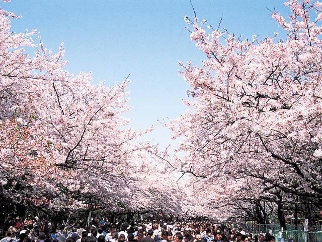 park. To Ueno Park 949m