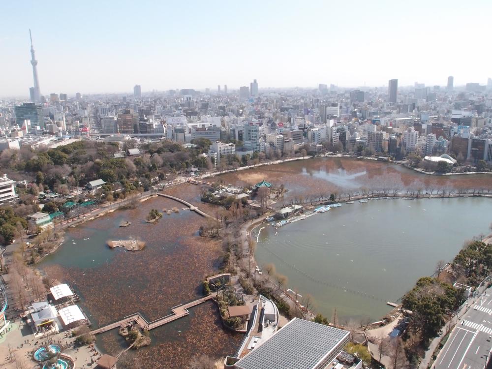 View photos from the dwelling unit. View from the balcony (Shinobazunoike views is)